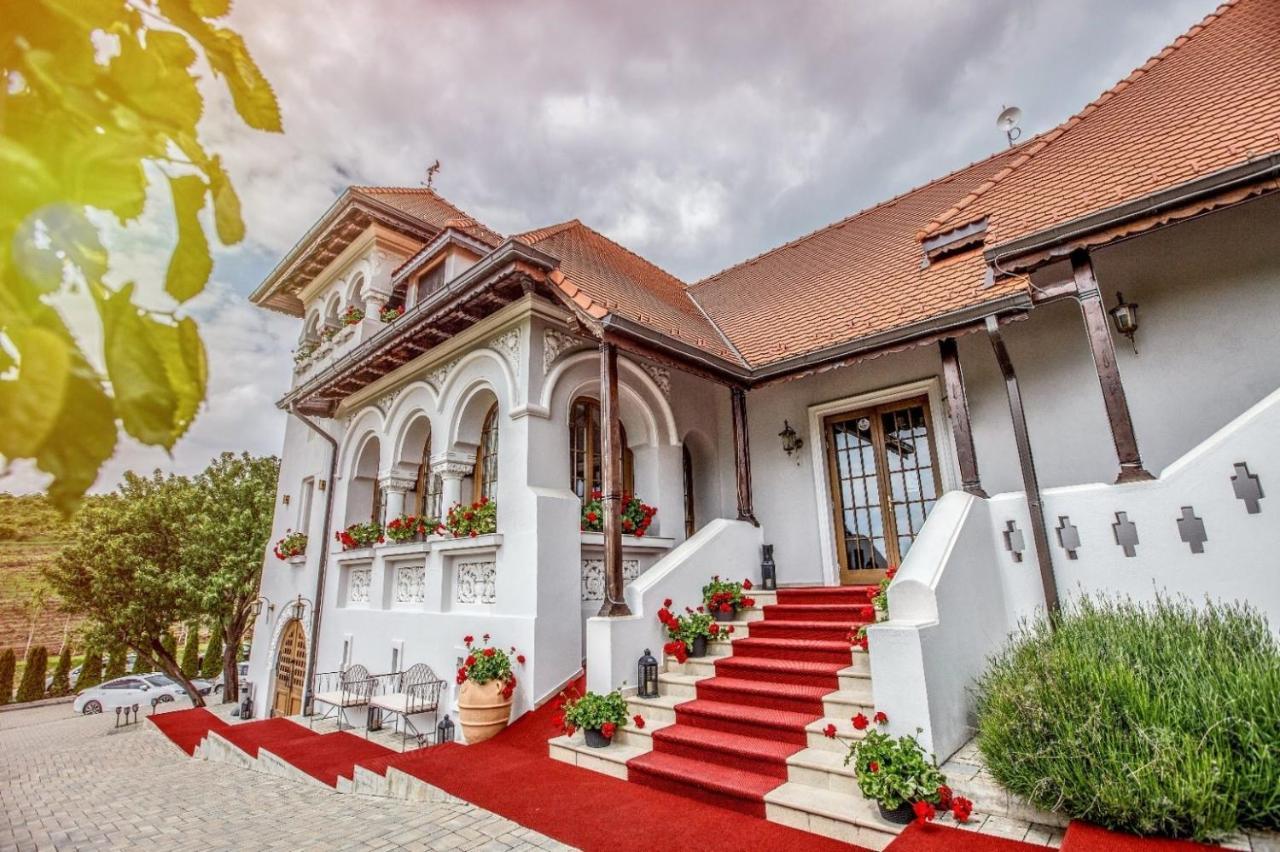Casa Timis - Wellness & Spa Resort Chitorani Exterior foto The entrance of the winery
